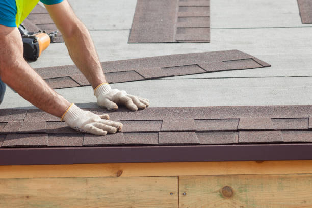Best Roof Insulation Installation  in Clearwater, MN